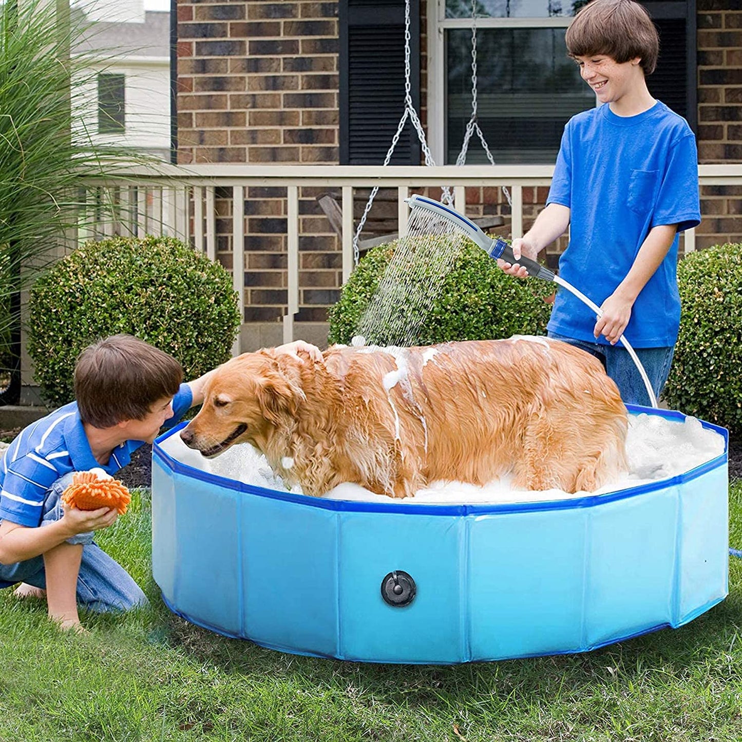 Dog Shower Sprayer Attachment