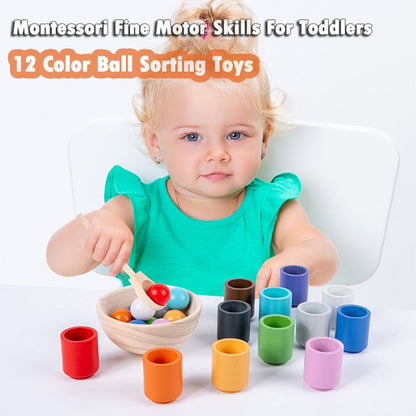 ColoReco - Children's Early Education Color Recognition Classification Cup