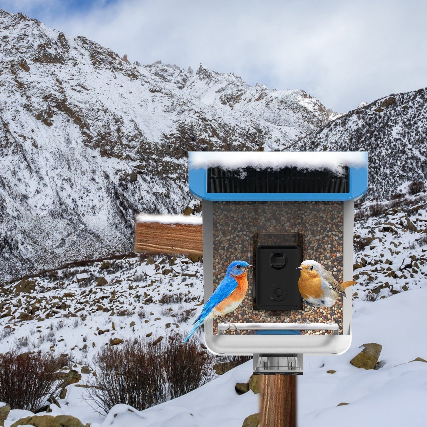 FeedCam - Bird Feeder With Camera