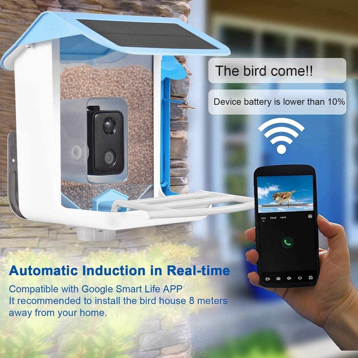 FeedCam - Bird Feeder With Camera